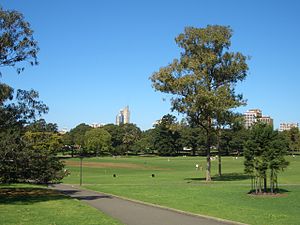 The Domain, a huge expanse of grass and trees leading to the Botanic Gardens and the Art Gallery of NSW, with views of the CBD.